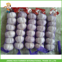 Export 6 Pcs/Bag 5.0CM Fresh Red Garlic